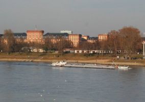 schwimmkurse fur erwachsene mannheim DLRG Mannheim