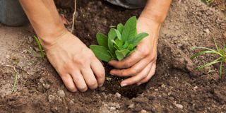 stellenangebote fur seeleute mannheim BIOTOPIA Arbeitsförderungsbetriebe Mannheim gGmbH