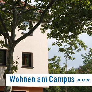 zentren um mode zu studieren mannheim Alanus Hochschule Institut für Waldorfpädagogik, Inklusion und Interkulturalität